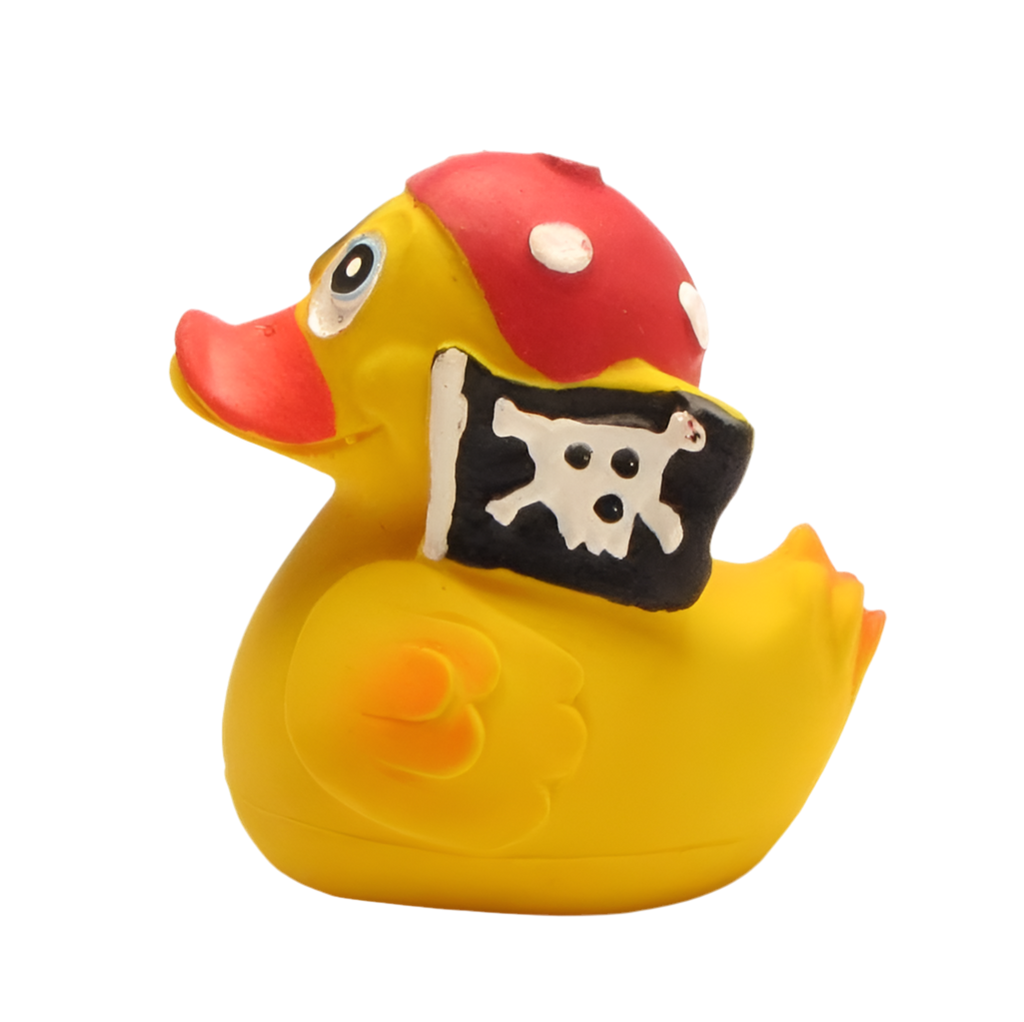 Pirate Duck