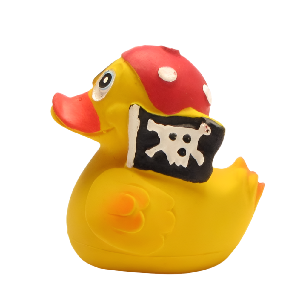 Piraten-Ente