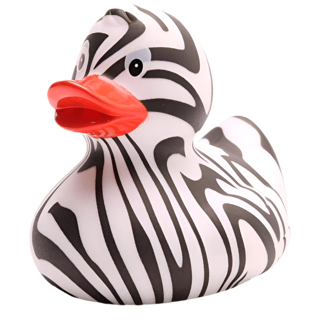canard zebre