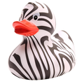 canard zebre
