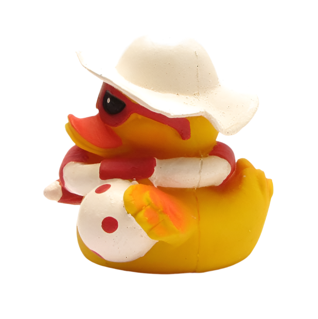 Ente am Strand
