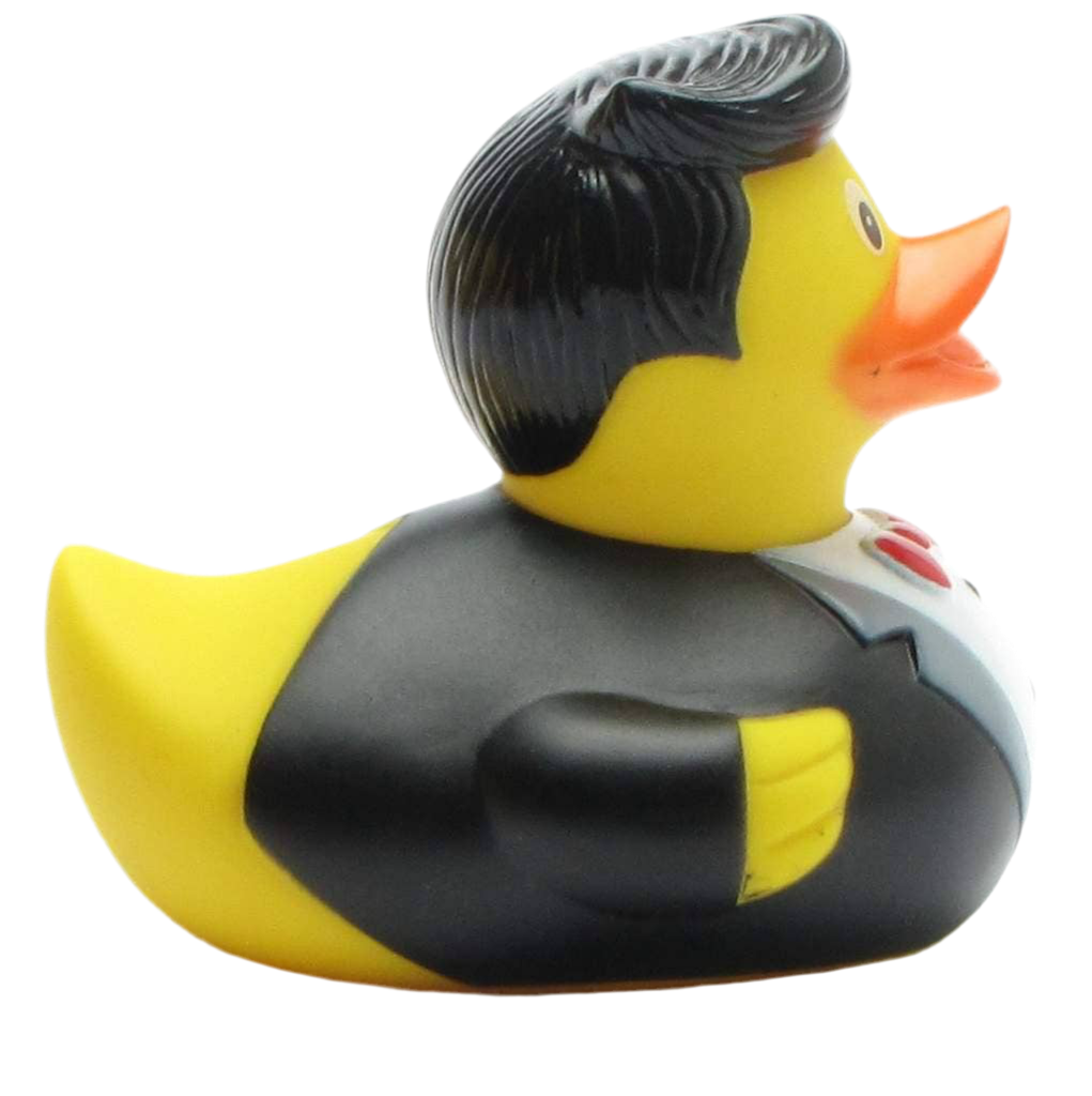 Ballroom Cavalier Duck