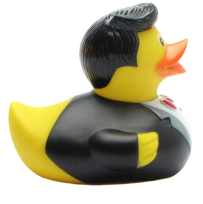 Ballroom Cavalier Duck