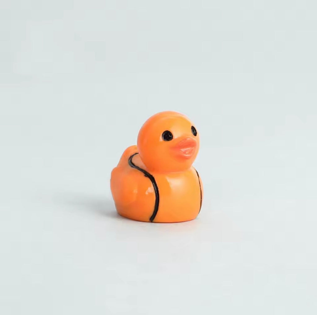 Minis Canards Sportifs