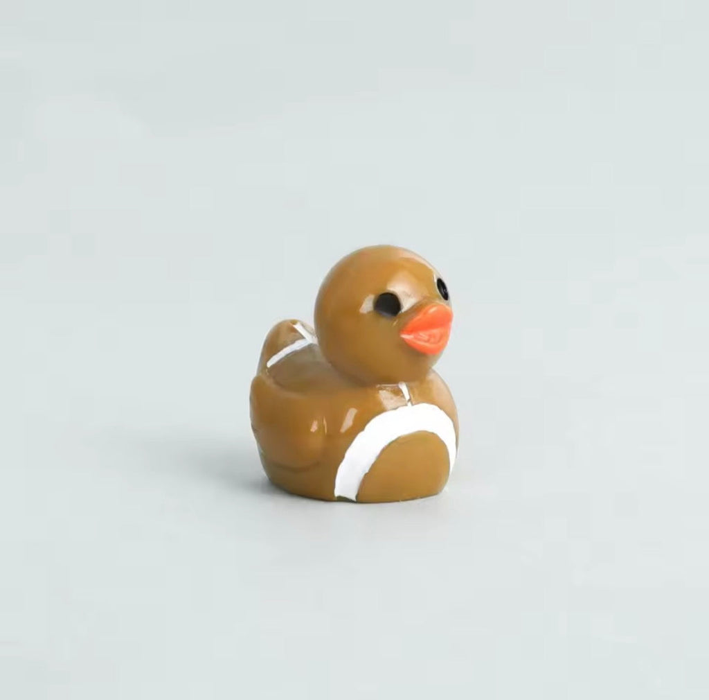 Mini Sporty Ducks