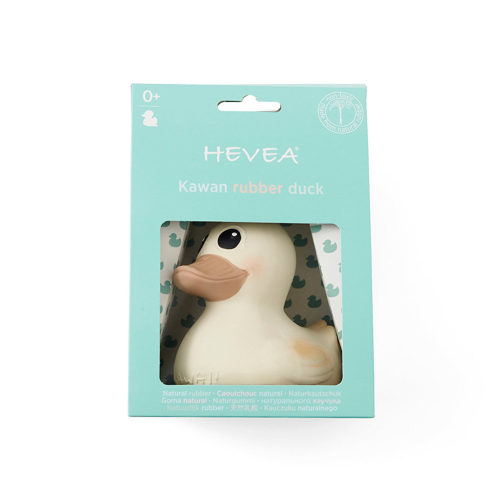 canard-kawan-blanc-l-hevea