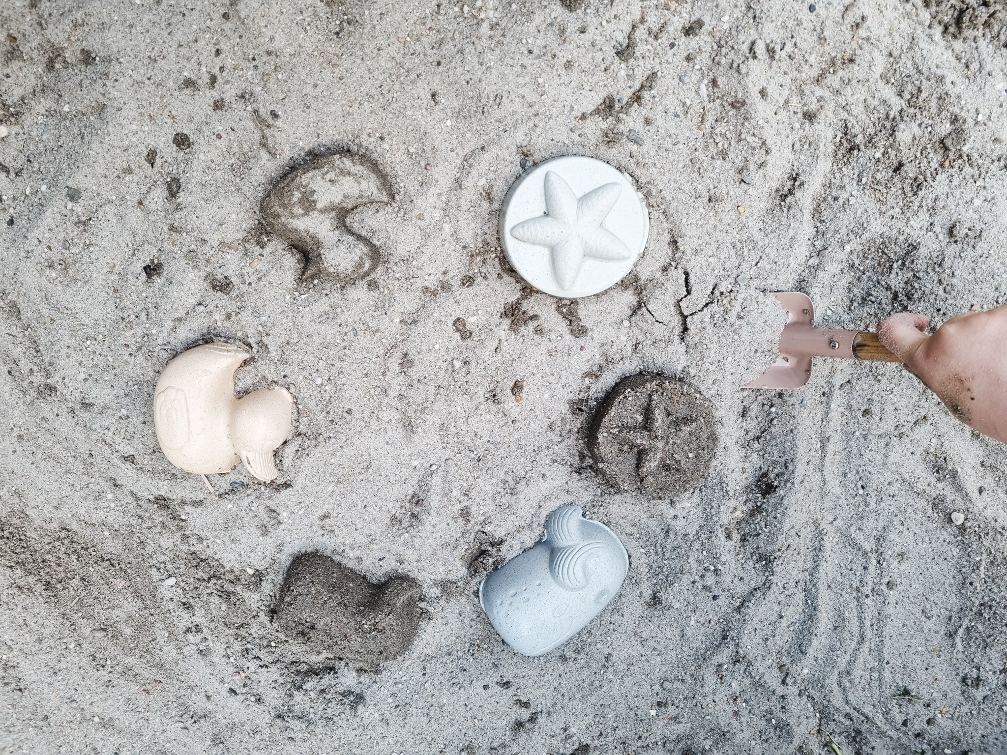 Duck Sand Mold Set