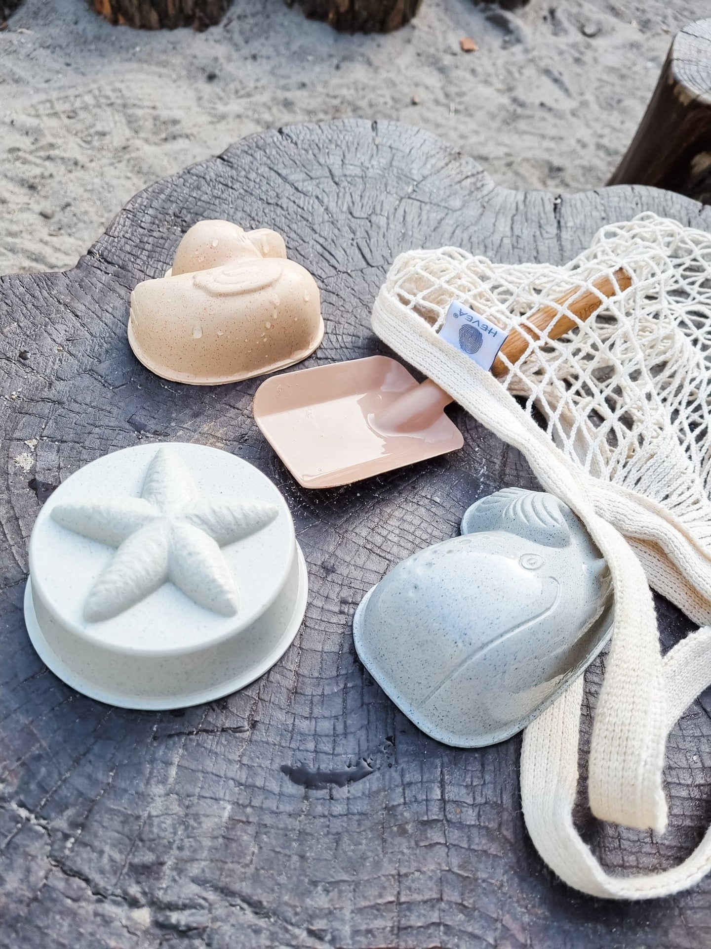 Duck Sand Mold Set