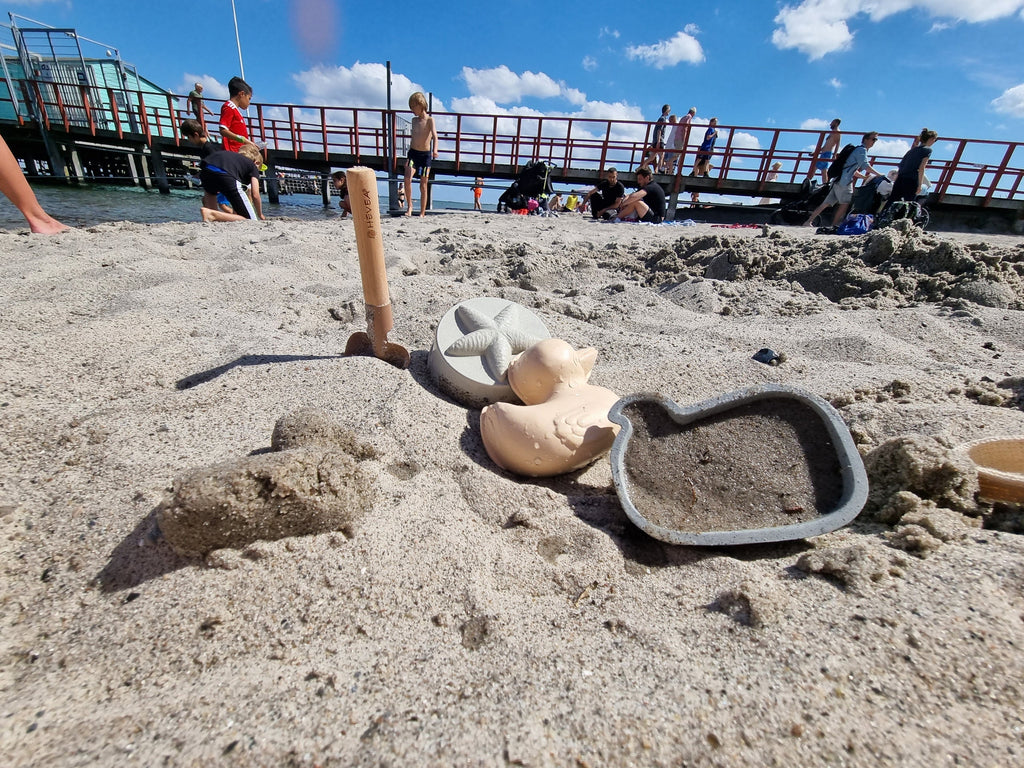Duck Sand Mold Set