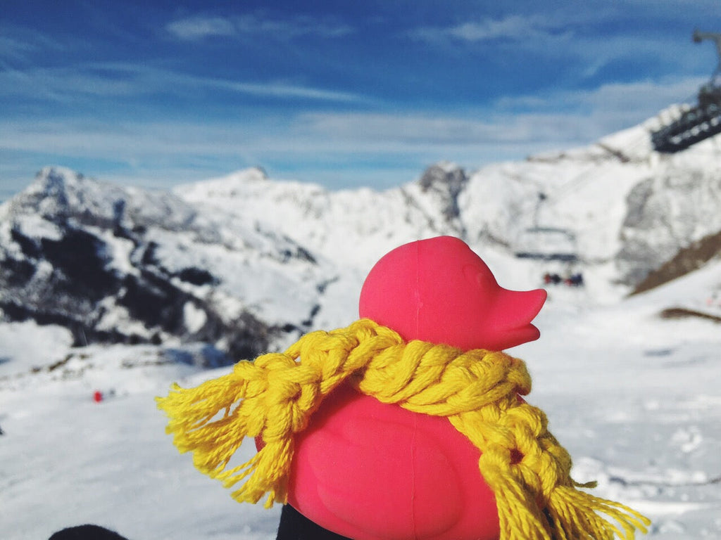 Produit Elvis Le Canard Rose Poster Déco