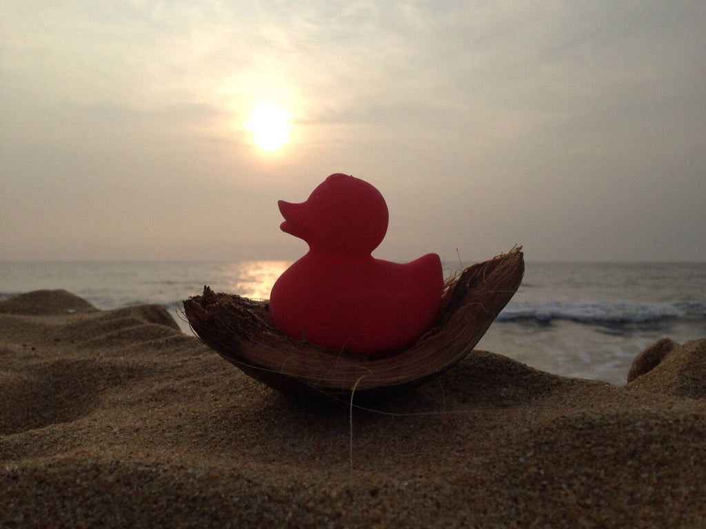 Produit Elvis Le Canard Rose Idée Cadeau