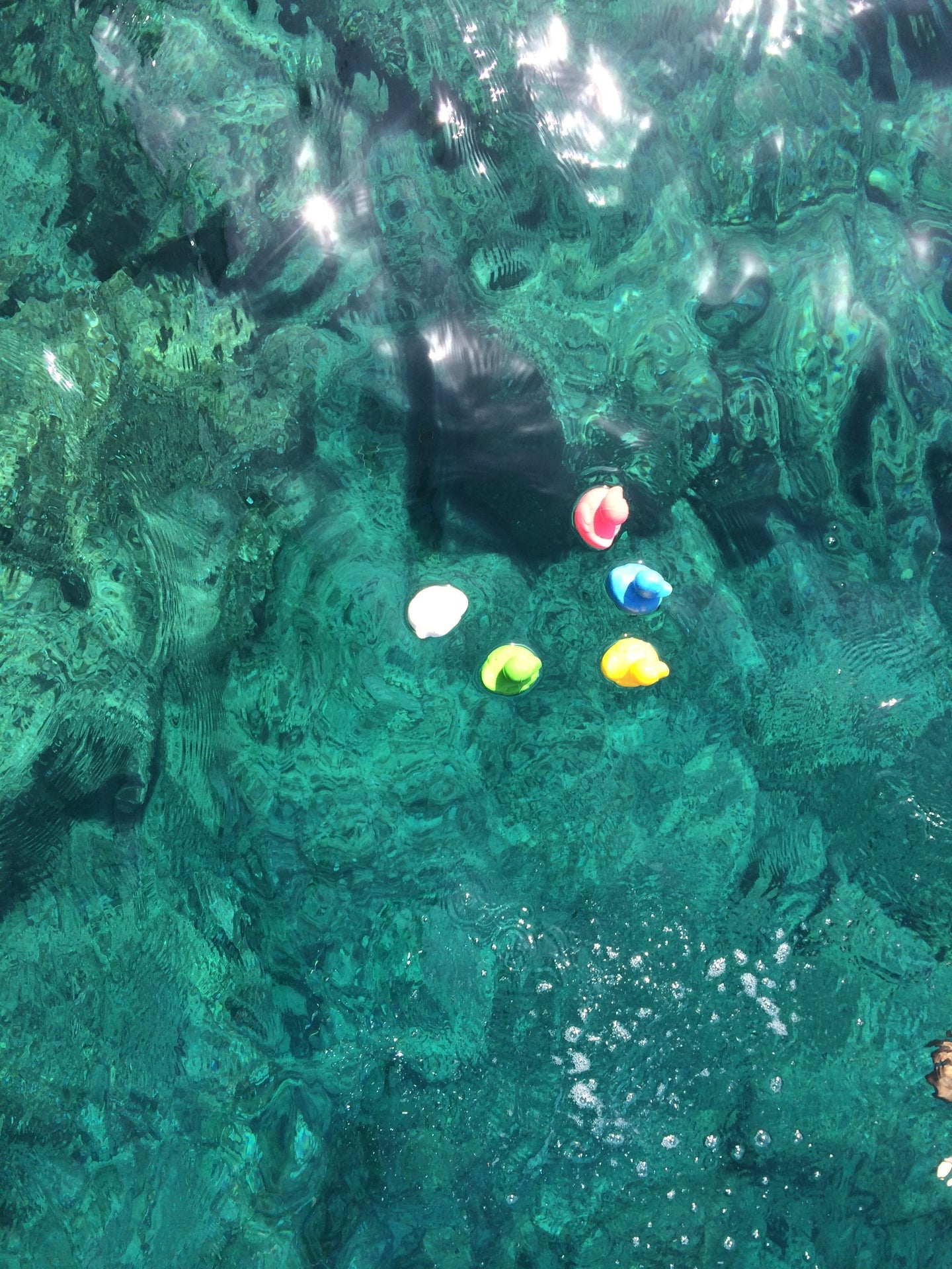 Produit Elvis Le Canard Rose Kawaii