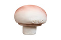Manolo le Champignon