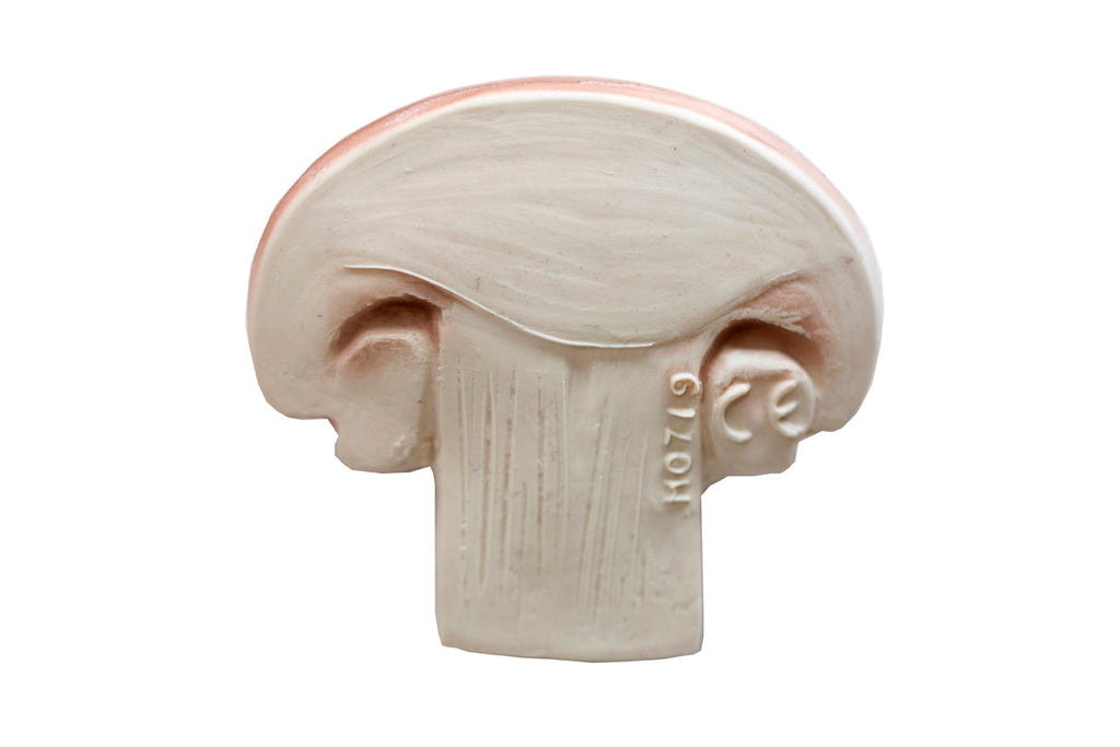 Manolo le Champignon