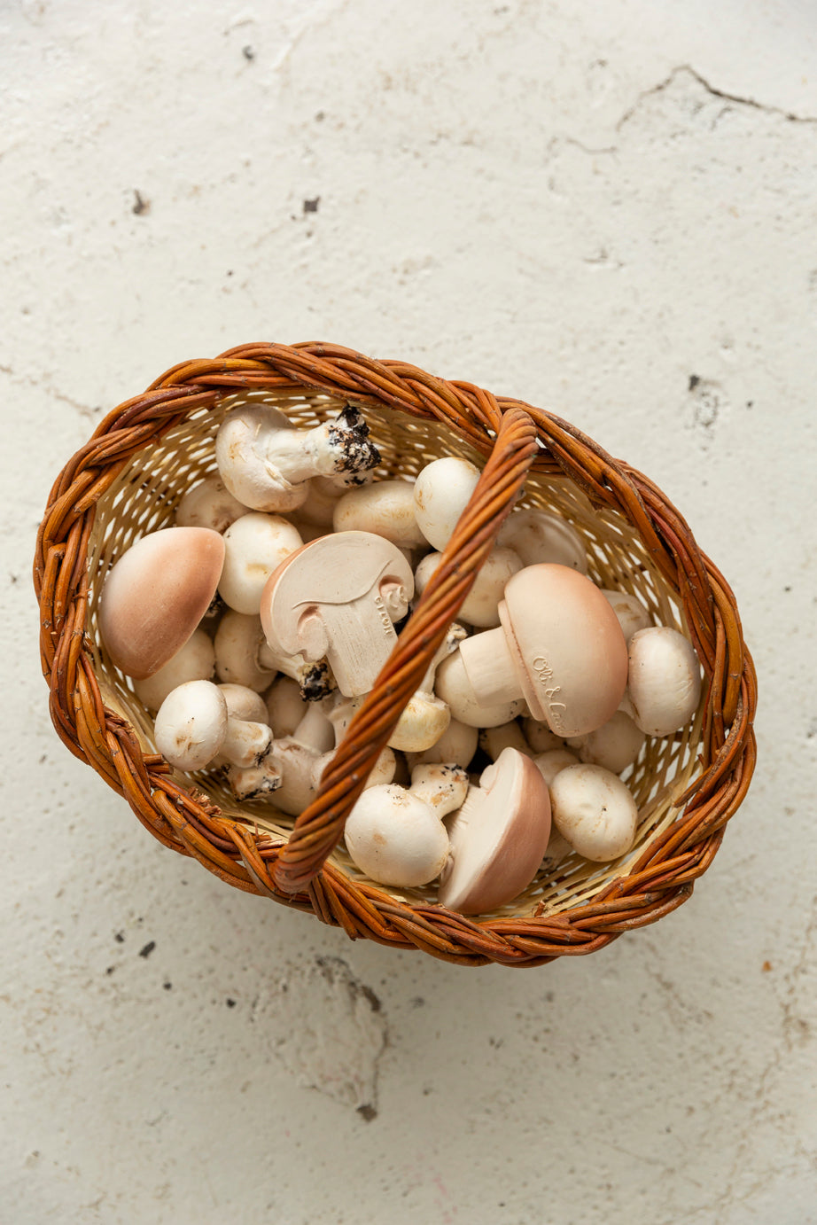 Manolo le Champignon