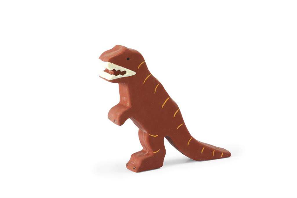 Mes Premiers Dinosaures