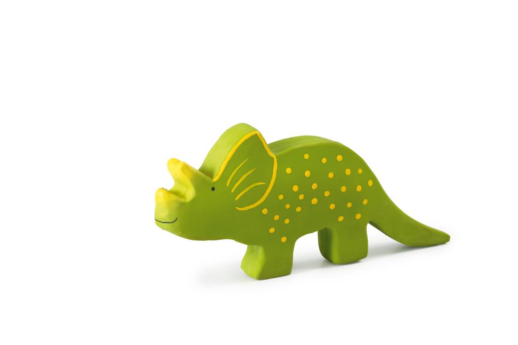 Mes Premiers Dinosaures