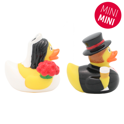 Mini married ducks