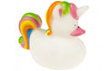 Mini Canard Licorne – visuel produit