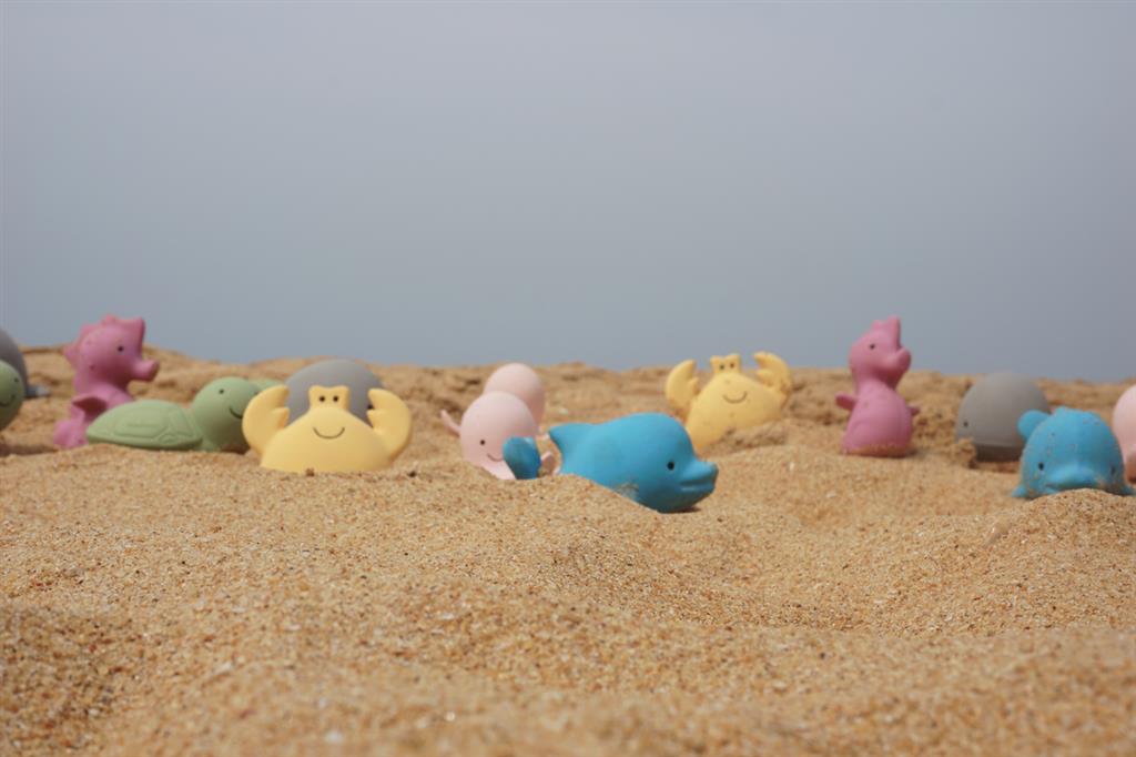 Mes Premiers Animaux Marins