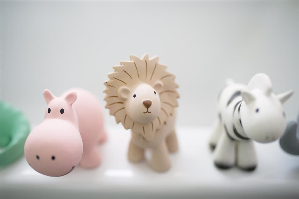 Mes Premiers Animaux du Zoo