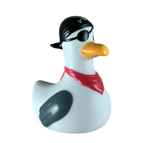 mouette-pirate-moew-moew