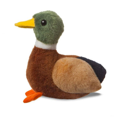 Peluche Canard Colvert