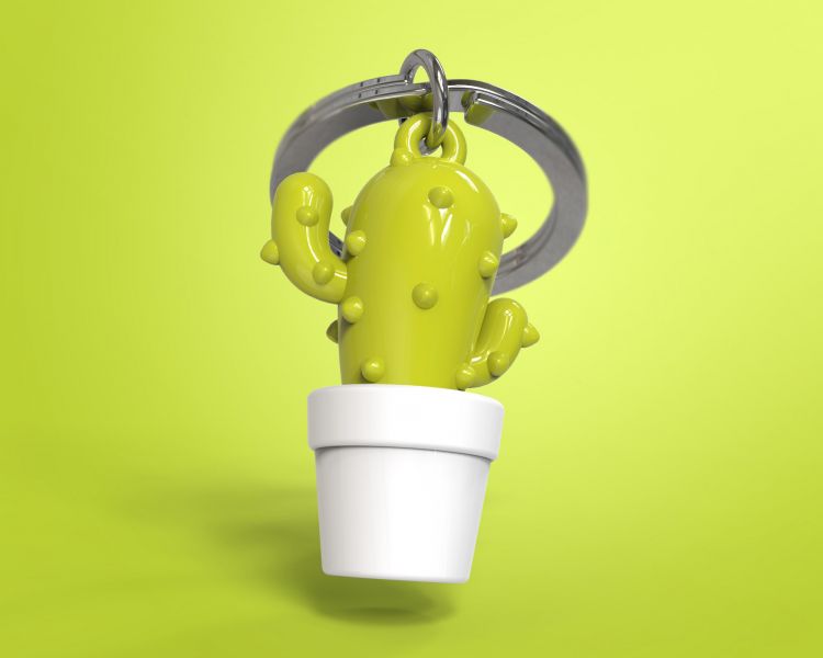 Porte clés Cactus Vert