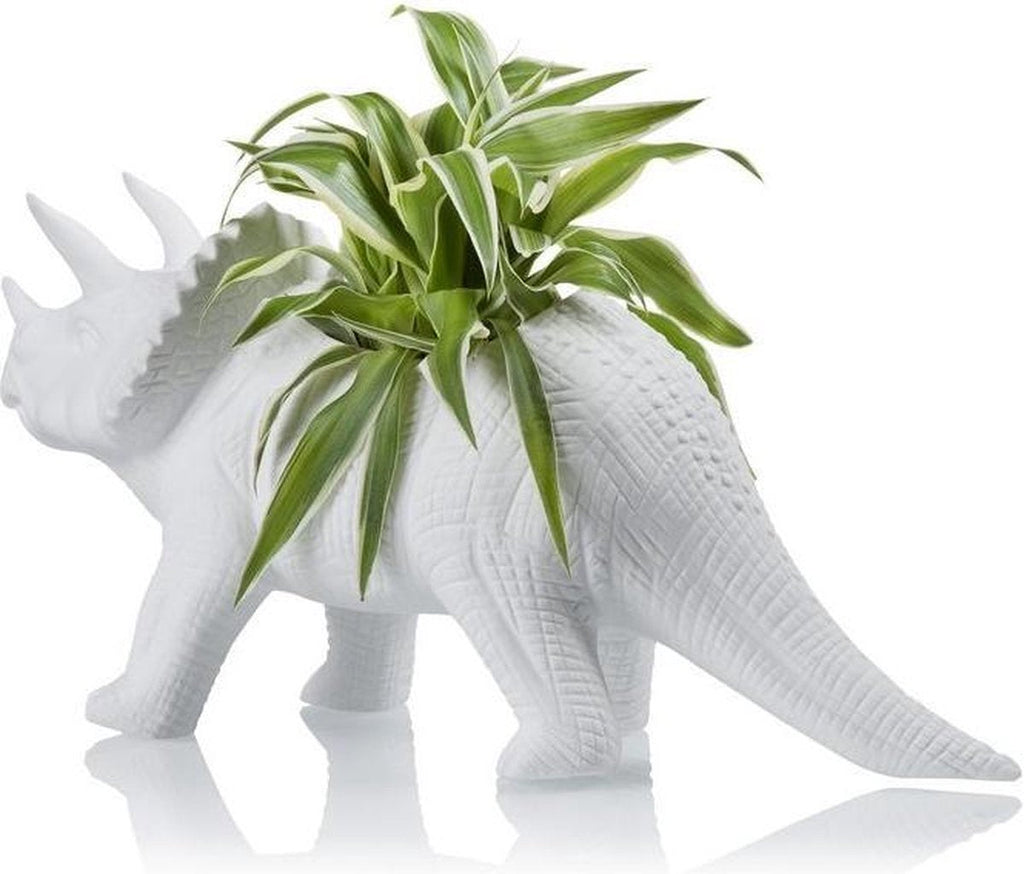 Pot de fleur Dinosaure Tricérapot