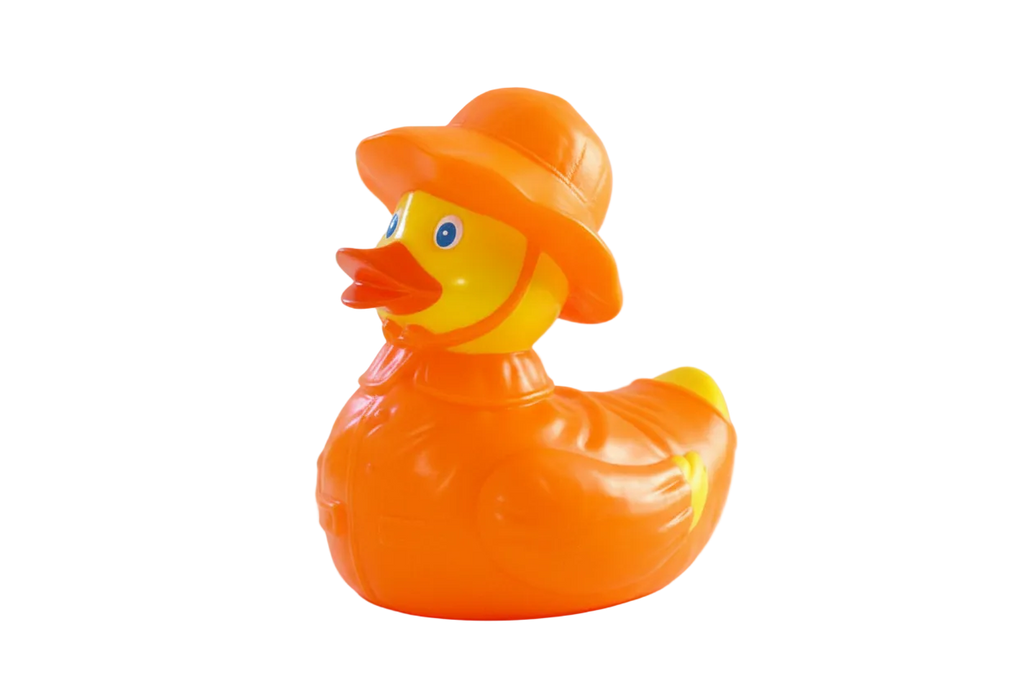 Rain -time duck