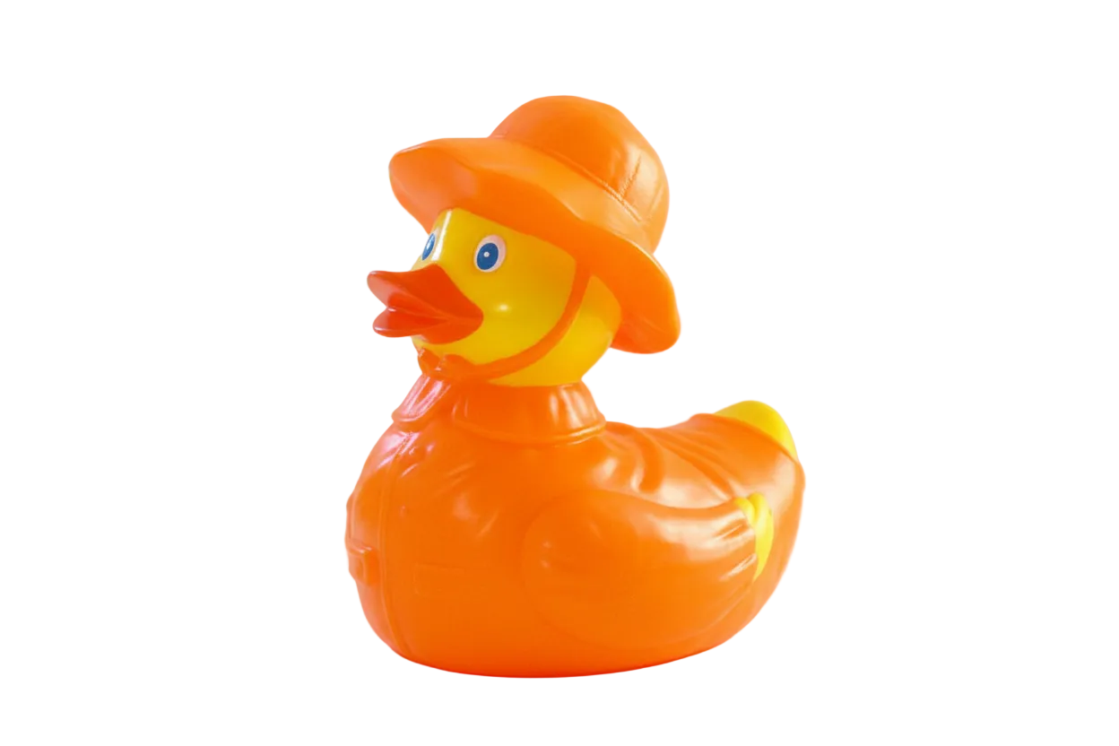 Rain -time duck