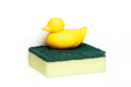 Duck sponge holder 