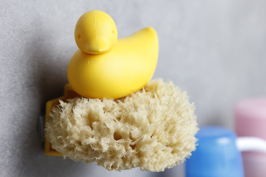 Duck sponge holder 