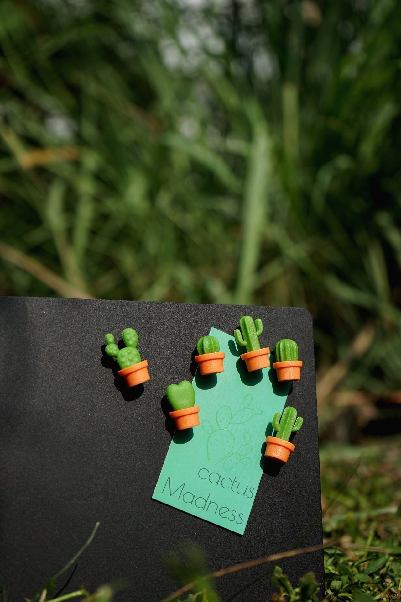 Magnets Cactus