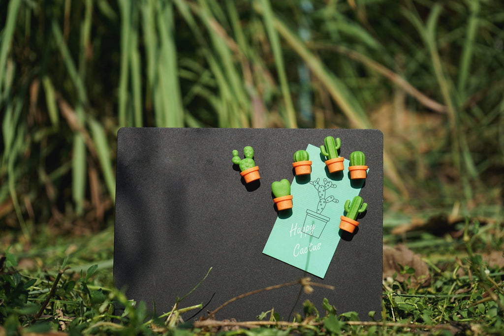 Magnets Cactus