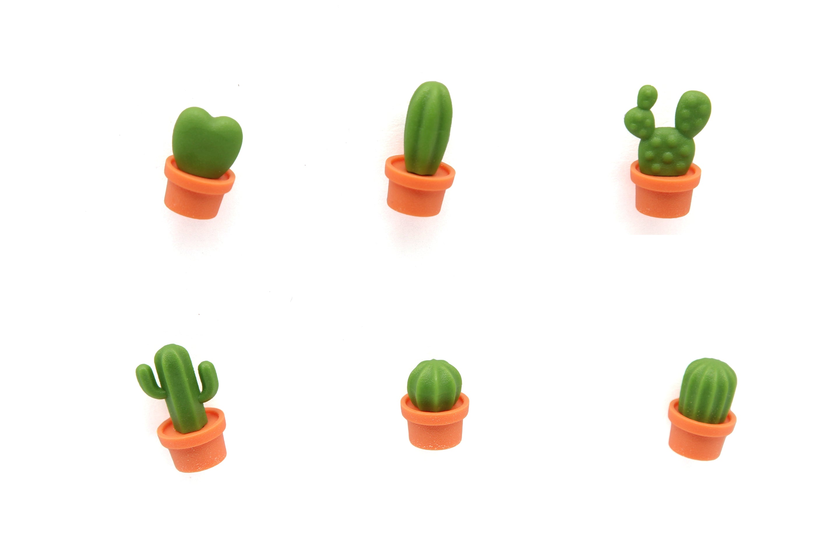 Magnets Cactus