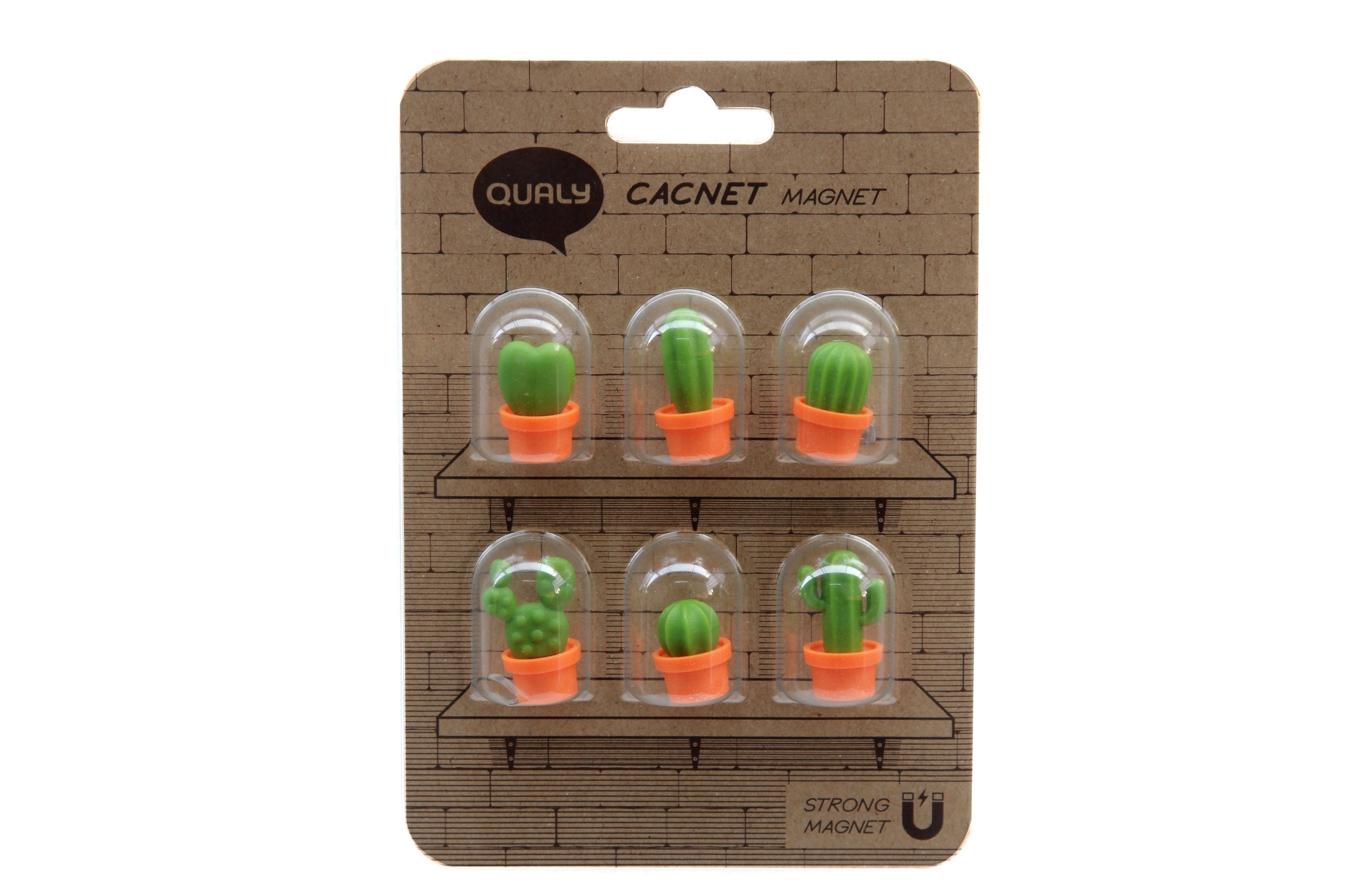 Magnets Cactus