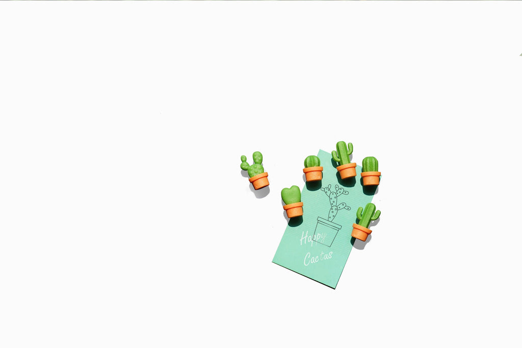Magnets Cactus