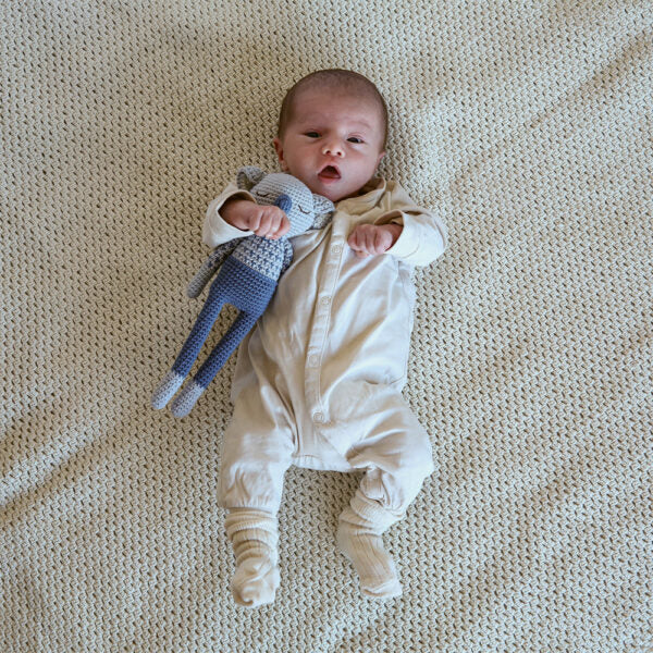 Doudou Koala Bleu