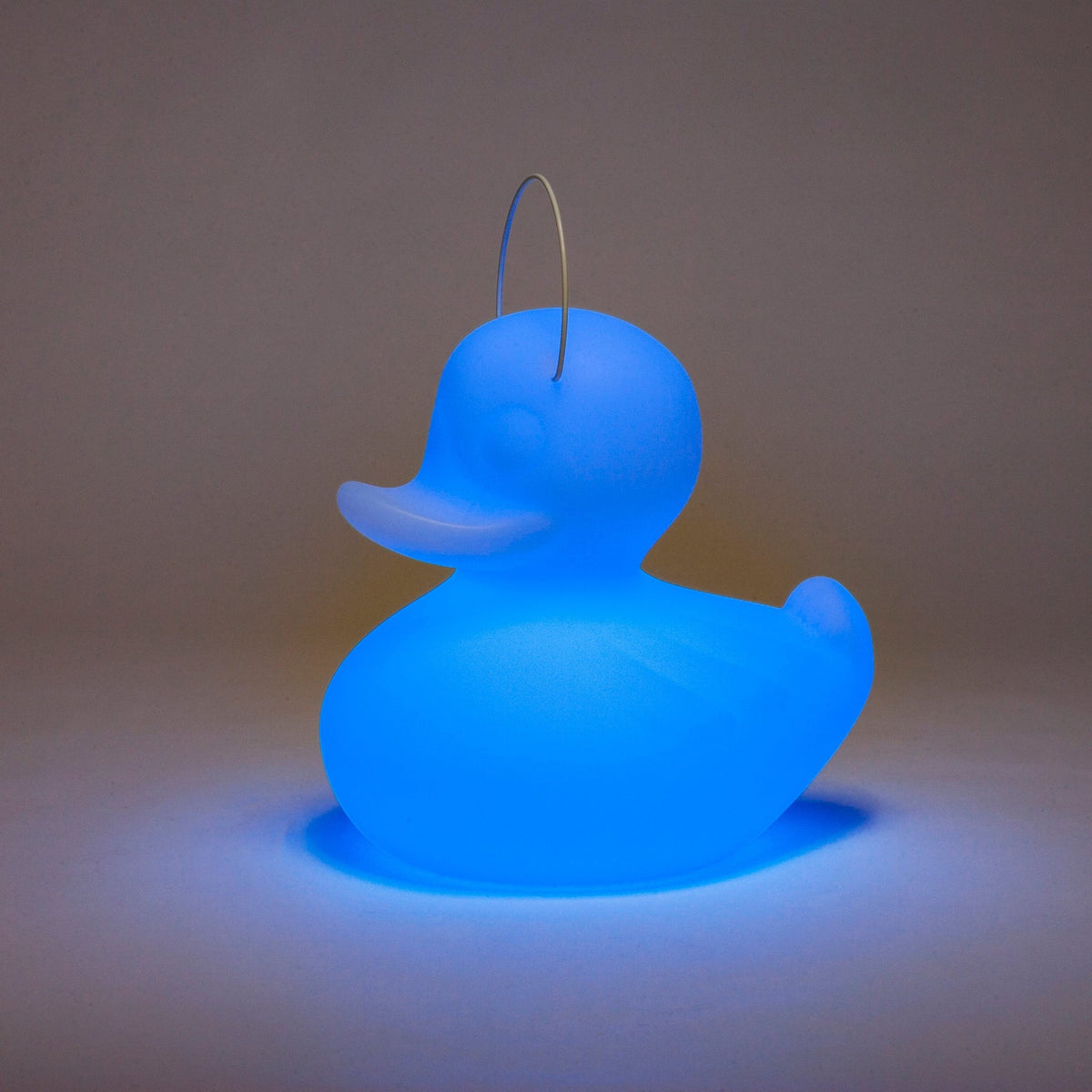 Lampe Canard DUCK-DUCK [Petite]
