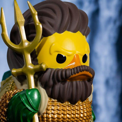 Canard Aquaman