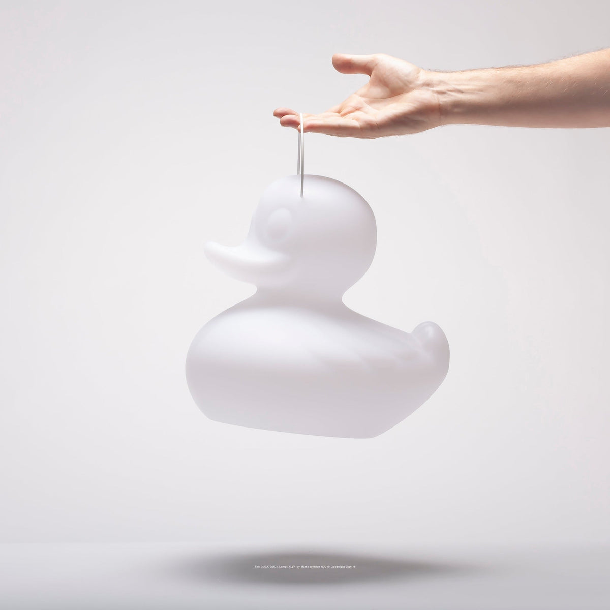 Lampe Canard DUCK-DUCK [Petite]