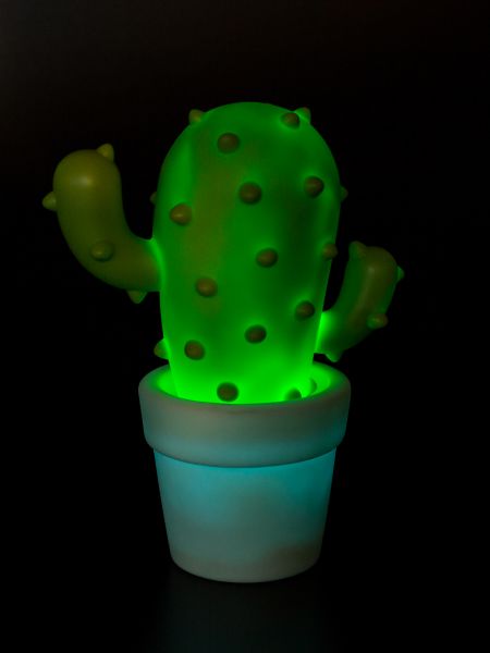 Veilleuse Cactus