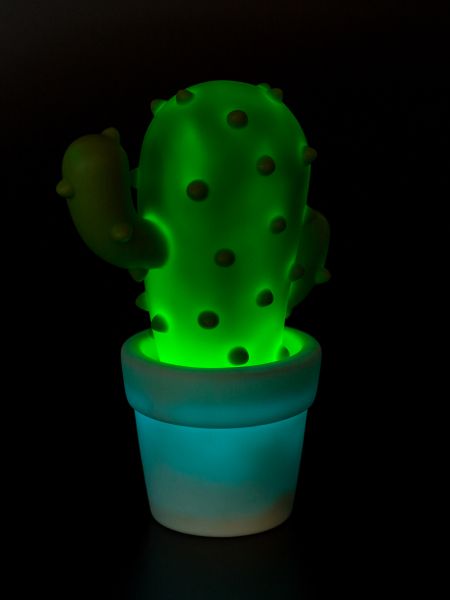 Veilleuse Cactus