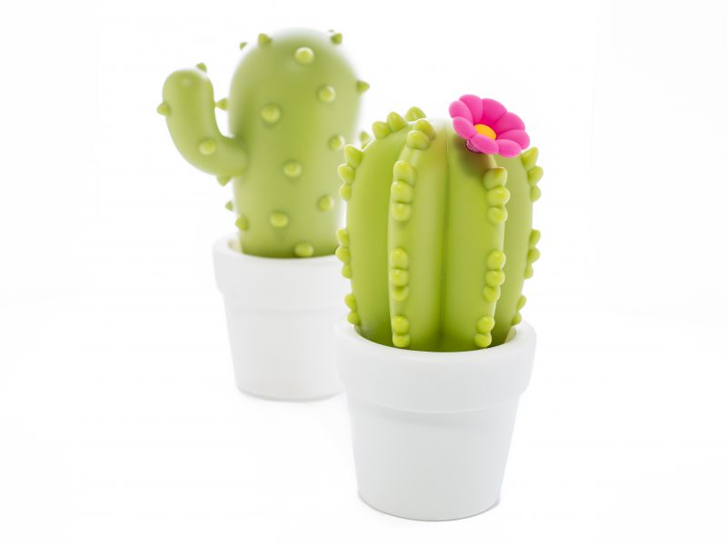 Veilleuse Cactus Fleur