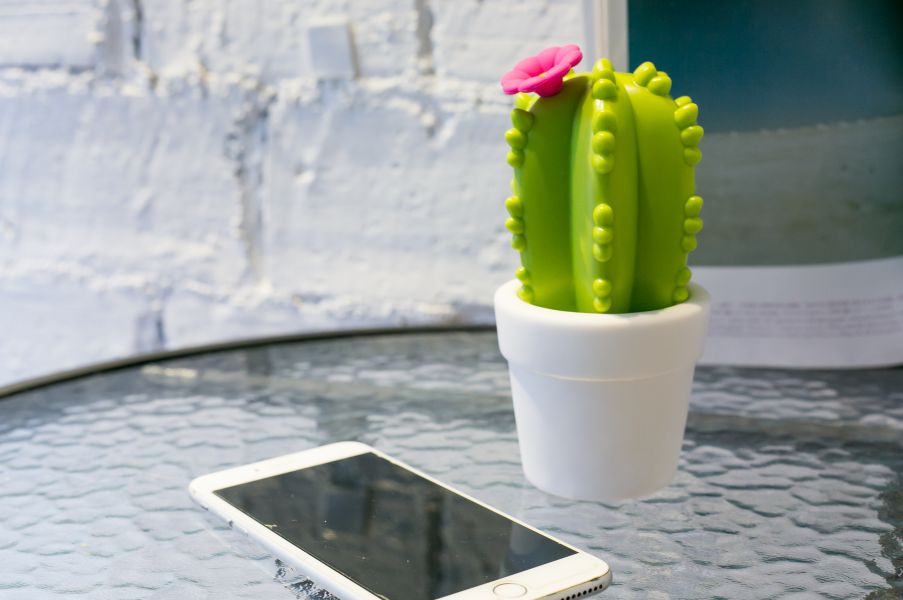 Veilleuse Cactus Fleur