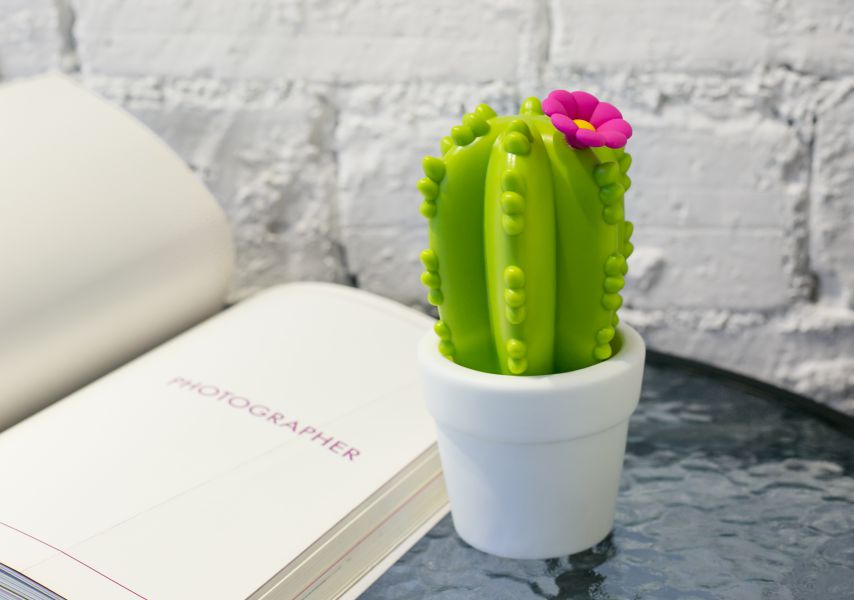 Veilleuse Cactus Fleur