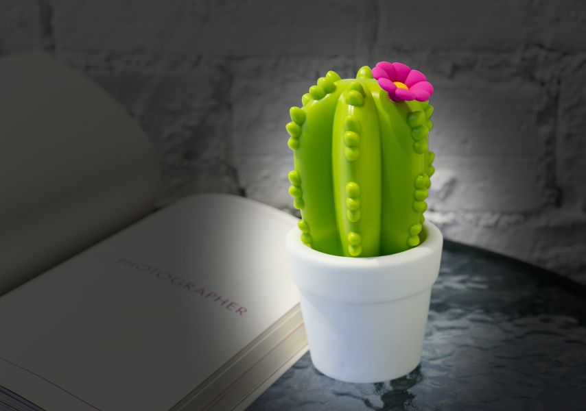 Veilleuse Cactus Fleur