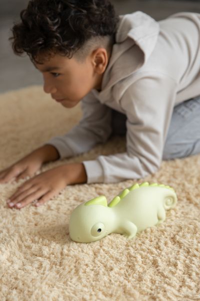 Veilleuse Caméléon Rechargeable