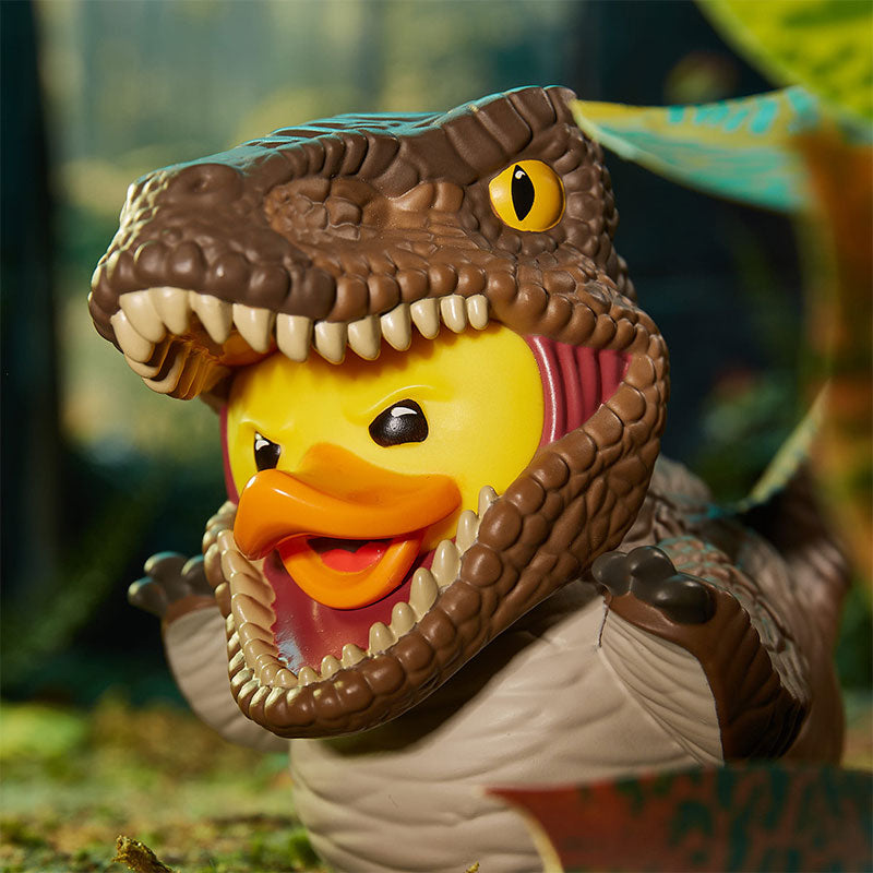 Velociraptor duck